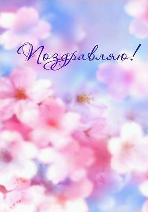 Сиренево розовые цветы 67 Сиренево розовые цветы 79